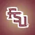 FSU Class of '23 Selfie Stikis