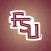 FSU Class of 24 Selfie Stikis