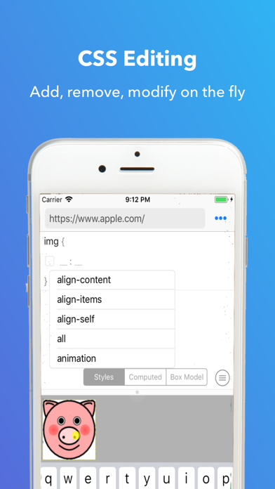 HTML, CSS, JS Snippet Editor スクリーンショット