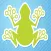 Frog Road and Friends