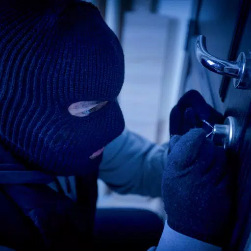 Pro Thief Simulator Robbery 3D Pro Thief Simulator Robbery 3D