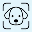 Dogitude: Dog Mood Tracker
