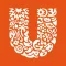 UFS iCon