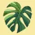 AI Plant Identifier & Care App