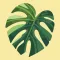 AI Plant Identifier & Care App