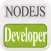 NodeJS Developer