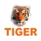 TIGER CCTV