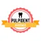 Pulpident Académico