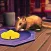 Mother vs Mouse Simulator 3D