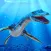 Underwater Dino Shark Hunting
