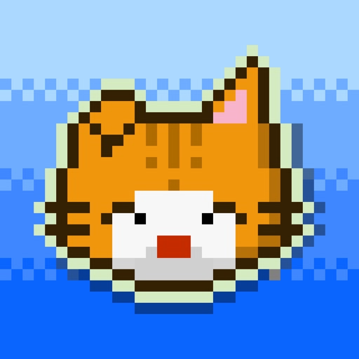Wilful Kitty Wilful Kitty