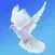 Celestial Church Worldwide