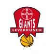 Bayer Giants Basketball