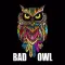 Bad Owl Coffee Shop