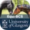 Equine Body Condition Scoring