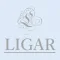 LIGAR/リガール