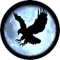 VR Bird Glide