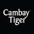 Cambay Tiger - Seafood & Meat