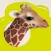 Who am I? Discover Wildlife