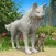 Wolf Simulator Arctic Survival