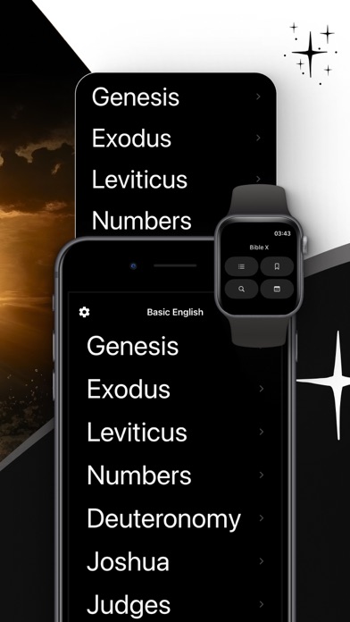 Accessible NIV Bible & Widget Screenshots