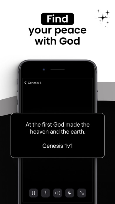 Accessible NIV Bible & Widget Screenshots