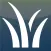 Common Weeds of the Utah Yard and Garden
