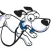 UTSW Scutpuppy