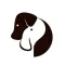 DFM | Dog Friendly Maastricht