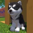 Cute Pocket Puppy 3D - Part 2 Cute Pocket Puppy 3D - Part 2