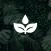 Thriving Springs Wellness