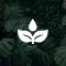 Thriving Springs Wellness