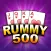 Rummy 500 card offline game