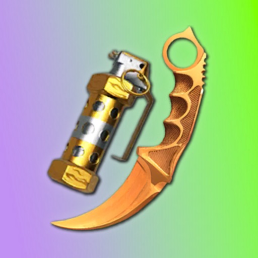 Case Simulator - Standoff Case Case Simulator - Standoff Case