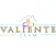 Valiente Team