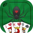 Spider Solitaire - card game