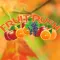 Fruit Rush Game