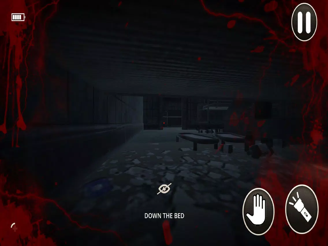 Скриншоты Scary Nun: The Untold Story iPad 
