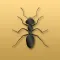 Disturbing Ants
