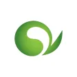 Seoul Trading