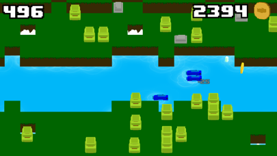 River Rider应用截图