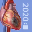 2020 P&P Perpetual 2020 P&P Perpetual