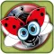 Bug Life - Squash Master Village