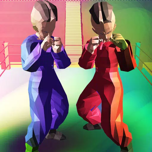 Face Fighter Physics-Classic Karate Face Kicker Face Fighter Physics-Classic Karate Face Kicker