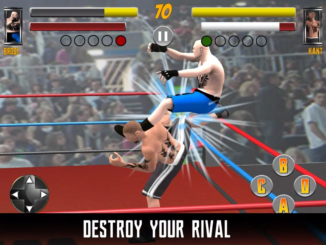Real Tag Team Wrestling Heroes iPad 應用截圖