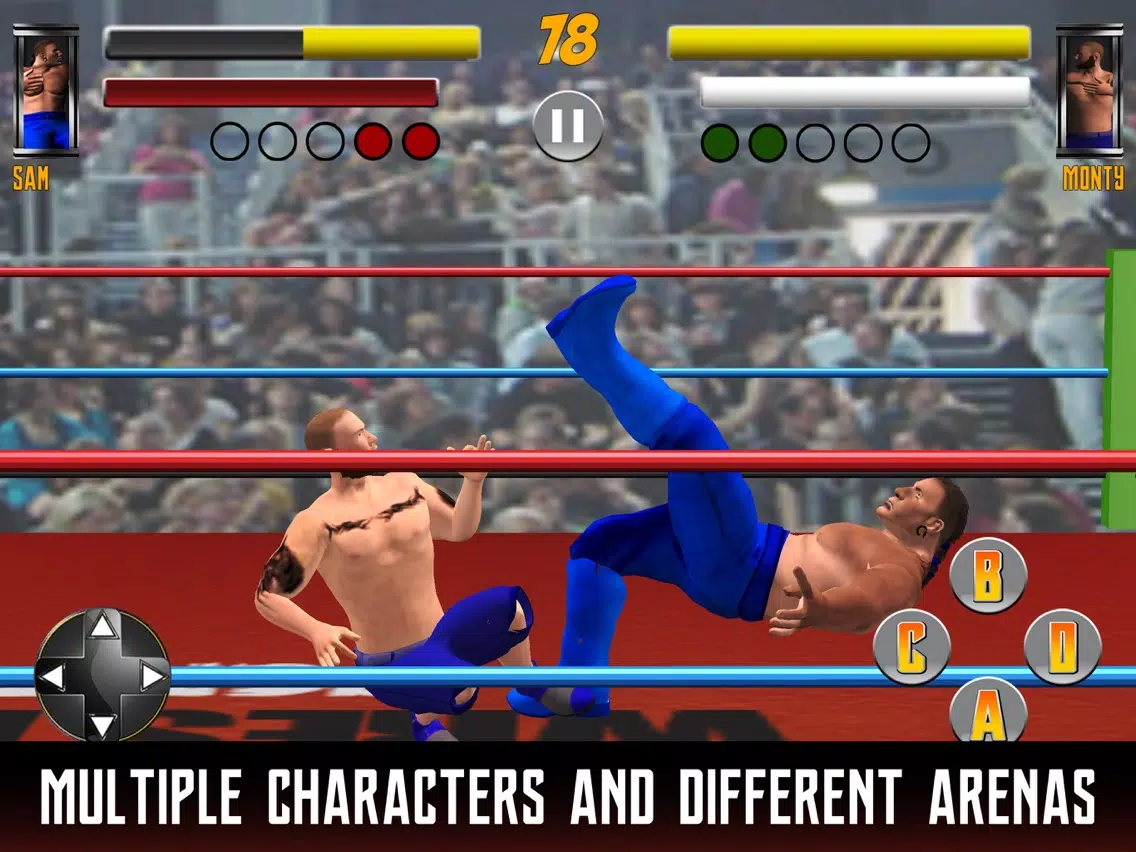 Real Tag Team Wrestling Heroes iPad 應用截圖