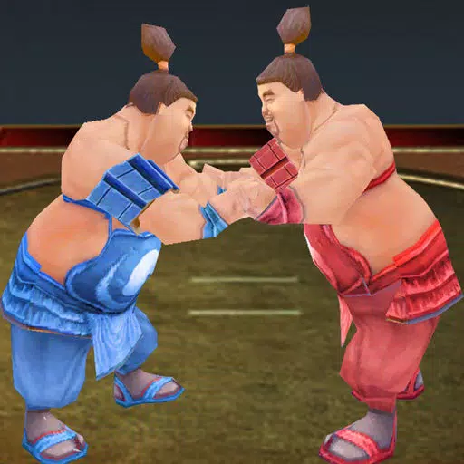 Sumotori Wrestle Dreams 3D Sumotori Wrestle Dreams 3D