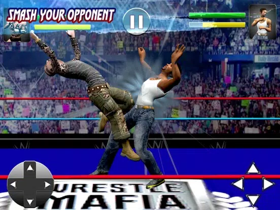 Скриншоты World Wrestling Revolution 3D iPad 