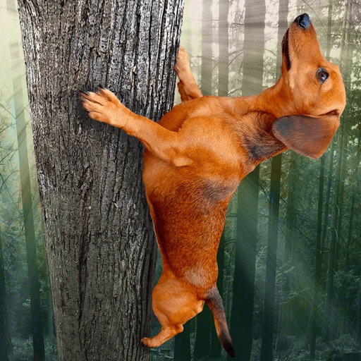 Wild Wiener! Wild Wiener!