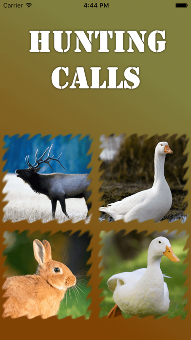 Hunting Calls 2016 Screenshots